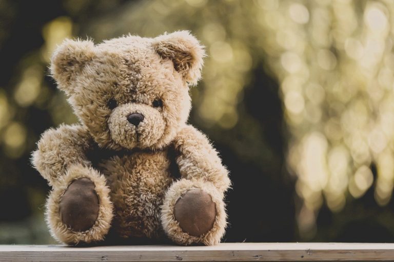 teddy, stuffed animal, funny